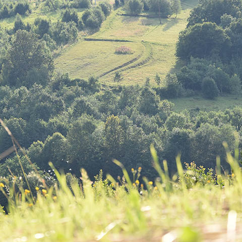 Lanckorona Widoki Spacery